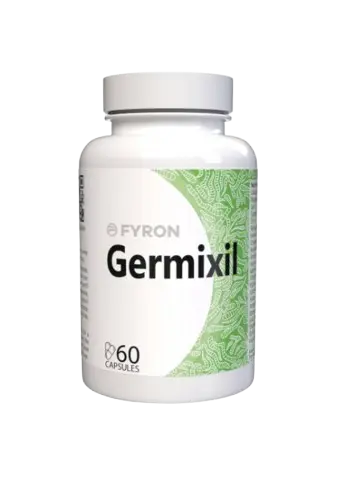 Germixil Larawan